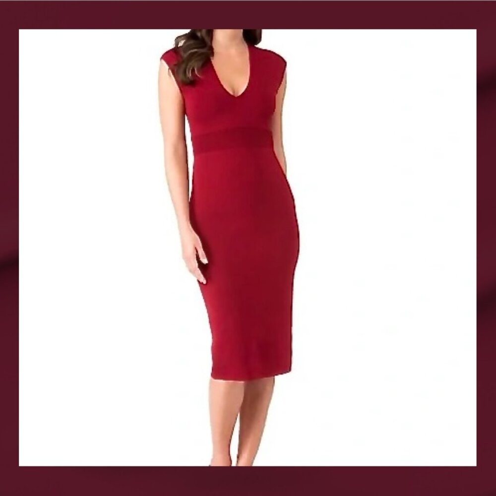 Michael  Kors V-neck Fitted Sheath Dress